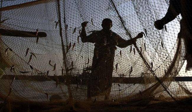 Fishermen Will Again Steer Their Boats In The Sea