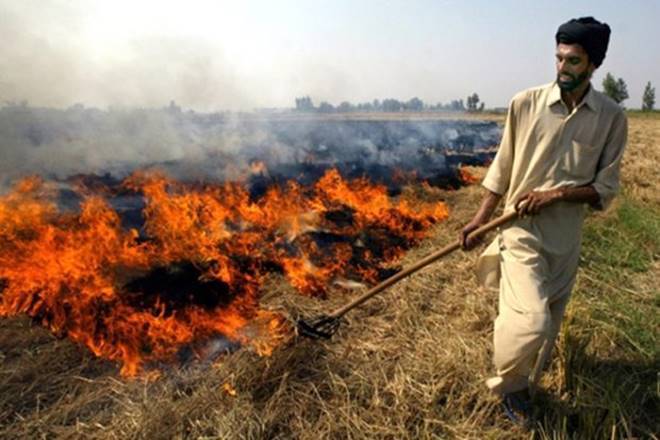 How crop burning around Lahore engulfs the city in smog every winter