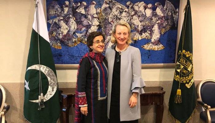 US diplomat Alice Wells visits Pakistan