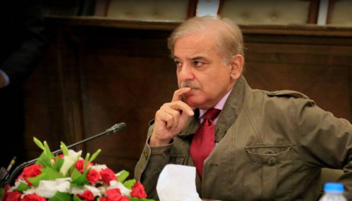 Exclusive: Shehbaz Sharif talks with Naya Daur on appointment as PAC Chairman