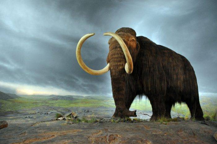 5 Beautiful creatures that once roamed the Earth
