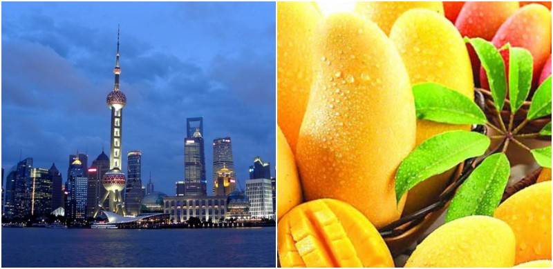 World's largest exporter: China can't get enough of Pakistani Mangoes
