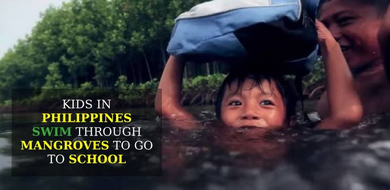 Kids in Philippines Swim Through Deep Mangroves To Go To School Daily