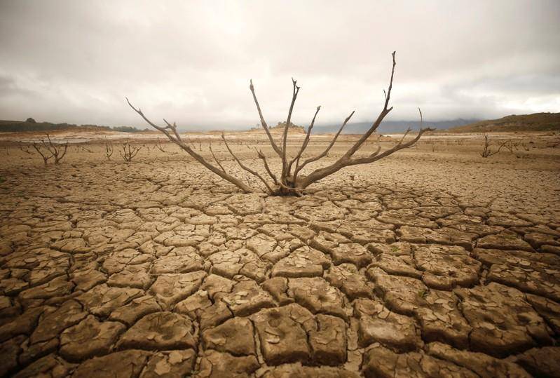 Severe drought in Achro Thar Desert forcing people to migrate