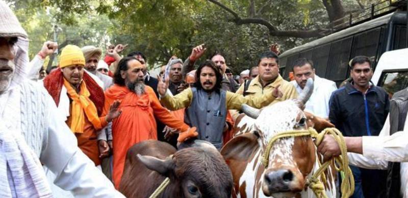 BJP’s Cow Vigilantes Used Communal Rhetoric To Target Muslims, Dalits: Human Rights Watch