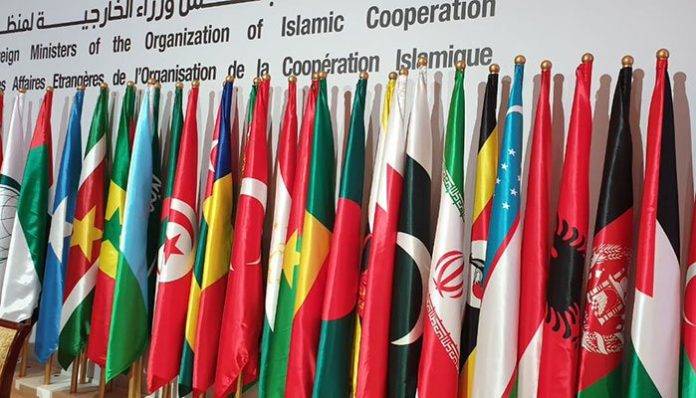 OIC Endorses 'Just Kashmir Cause', Urges India For Restraint