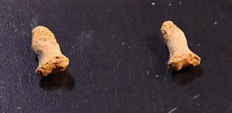 115,000-Year-Old Bones Reveal Man Was Eaten By Birds