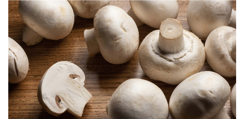 Eating Mushrooms May Slow Mental Decline: Study
