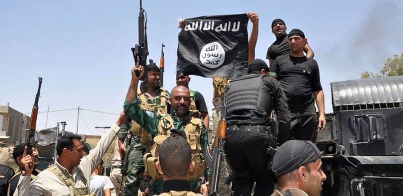 The ISIS Enigma: Such Organisations Can't Be Subdued With Mere Force