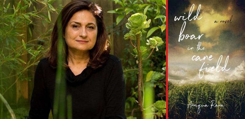 : An excerpt from Wild Boar in the Cane Field - By Anniqua Rana