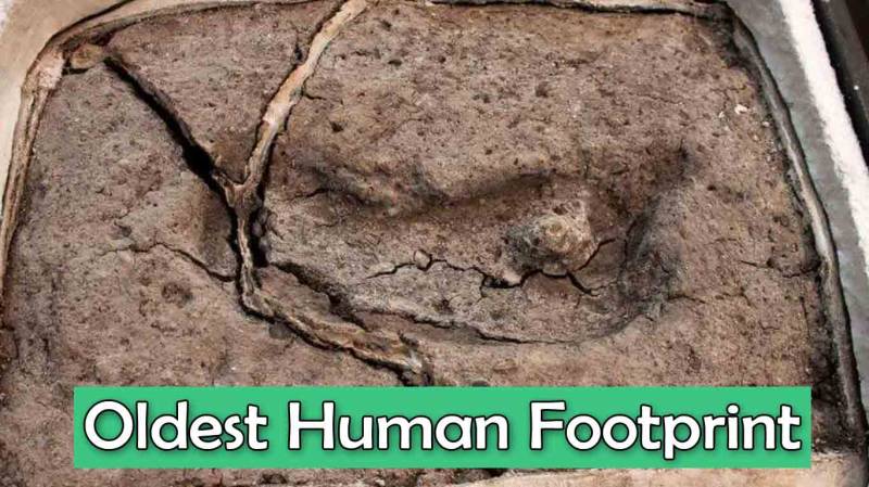 Oldest Human Footprint Found