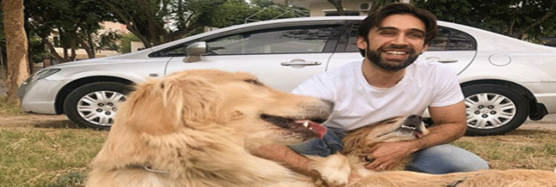 Treat Pets Like Family: Ali Rehman Khan