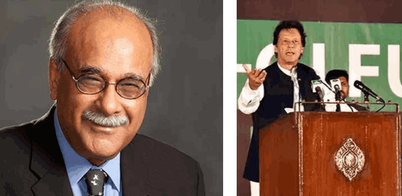 PCB Is Not Supporting The Cricket Team: Najam Sethi