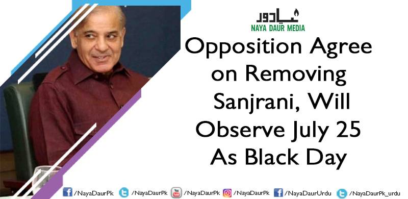 Opposition Agree on Removing Sanjrani, Will Observe July 25 As Black Day