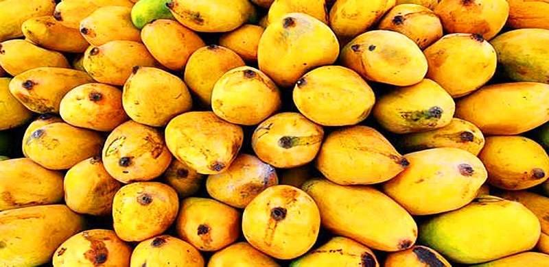Pakistani Mango Festival Opens In Dubai