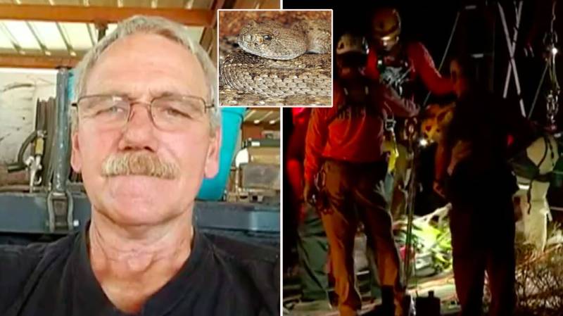 This Man In Search of Gold Spends Two Days In 100-Feet Deep Mine Shaft And Finds Rattlesnakes Only