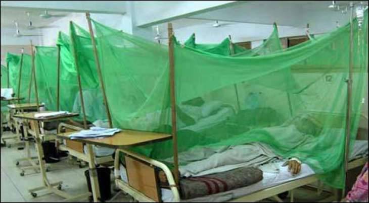 100 New Dengue Cases Identified In Rawalpindi Village