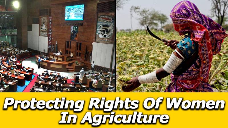 Bill To End Discrimination Against Women In Agriculture
