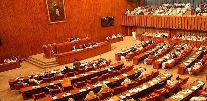 Senate Committee Recommends Formation Of JIT To Probe Custodial Killings