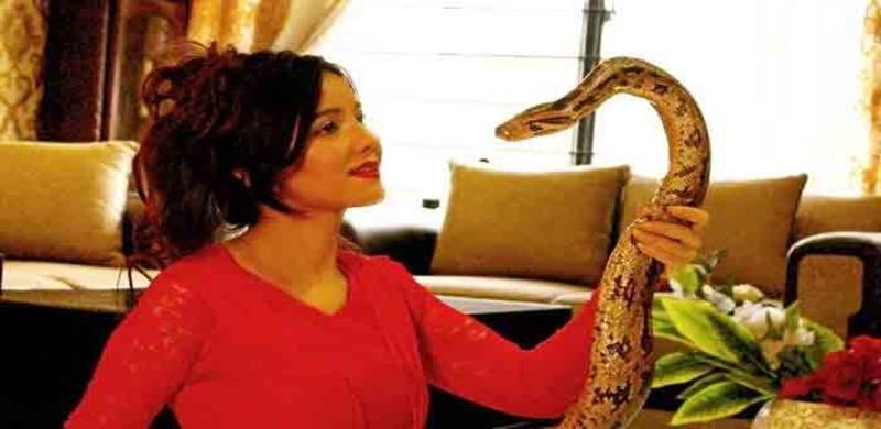 Court Issues Arrest Warrants Against Rabi Pirzada For Possession Of Exotic Animals