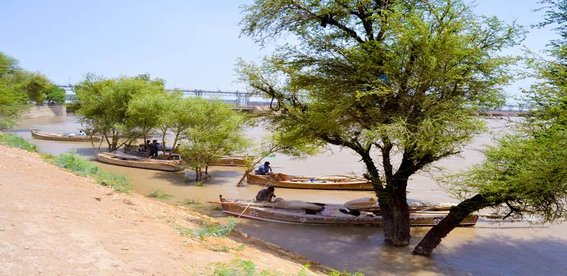 Fishermen Along Indus Losing Their Livelihood To Water Shortage