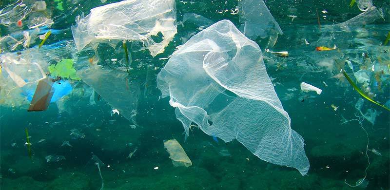 Plastic Pollution: A Looming Disaster