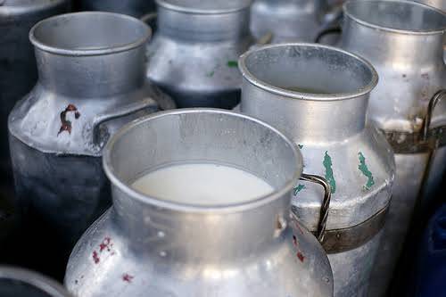 Islamabad Being Supplied More Than 40000 Liters Of Contaminated Milk