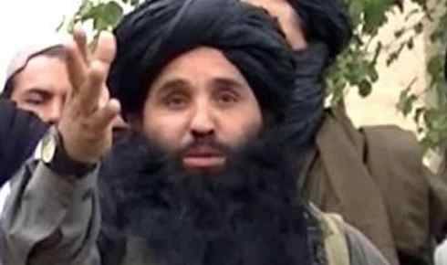 TTP Appoints New Chief Following Shehryar Mehsud's Killing