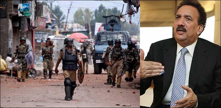 Rehman Malik To Produce Film Highlighting Atrocities In Kashmir