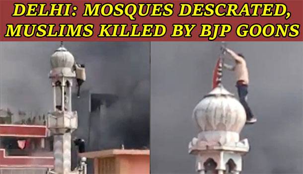 Mosque, Muslims' Houses Set On Fire In Delhi, Several Dead