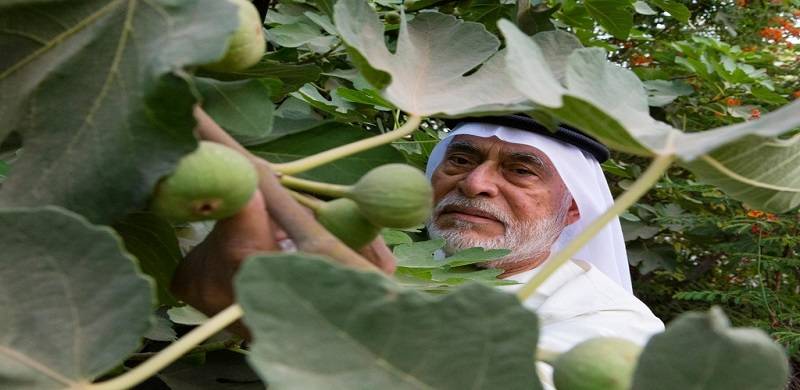 Pakistani Gardener Who Transformed Abu Dhabi's City Dies Aged 83