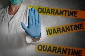 Sociology of Quarantine: Be Afraid Of Media Screens To Begin With