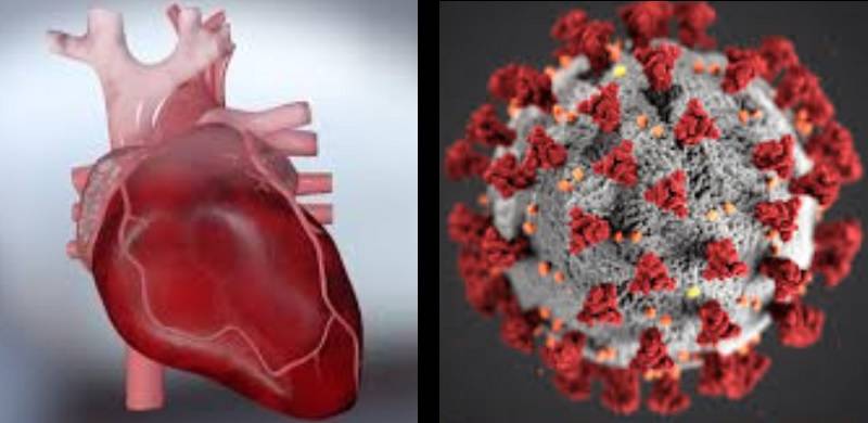It's Not Just About The Lungs: Covid-19 Can Be Heart Risk Too