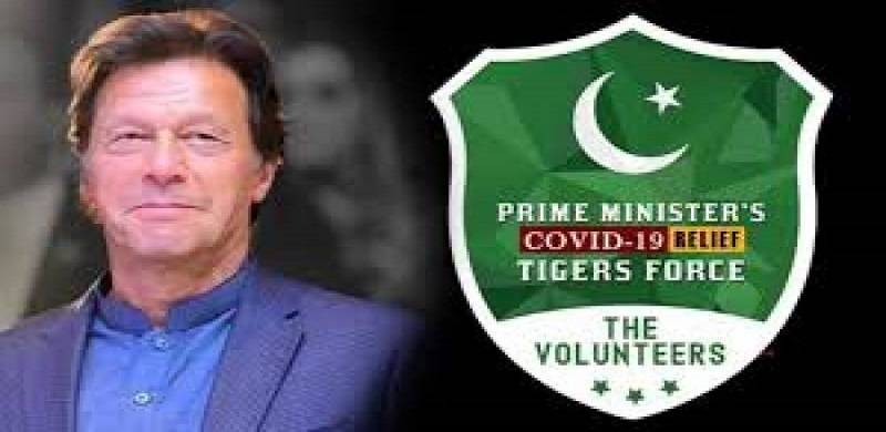 PM Imran Named Corona Tiger Force After His Dog, Says Senator Mushahidullah