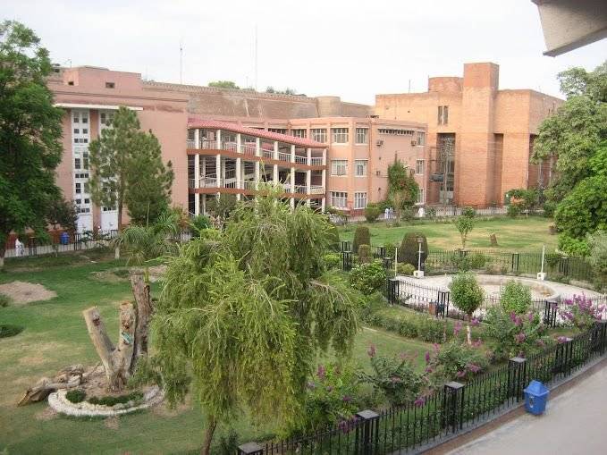 Peshawar Hospital's Head Of ICU Resigns Over Inadequacy Of Staff Dealing With COVID Patients