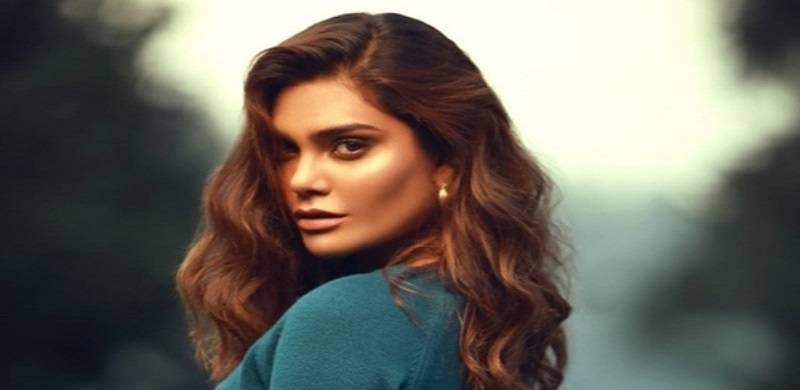 Model Zara Abid's Last Instagram Photo Captioned 'Fly High' Showed Her In A Plane