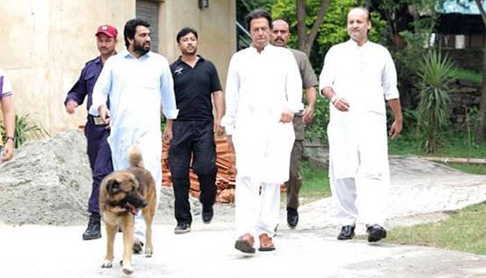 KP Police Personnel Named 'Sheru’ After PM Imran’s Dog