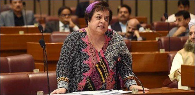 Women Should Not Have To Be Mothers Or Wives To Be Respected, Mazari Tells NA