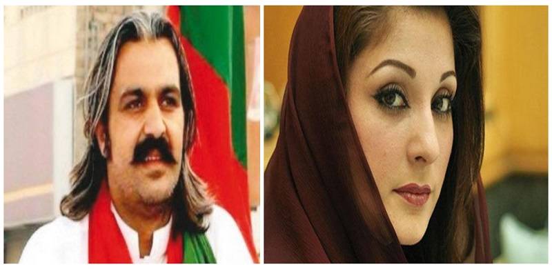 Minister Ali Amin Gandapur Says Maryam Nawaz's Beauty 'Due To Surgeries'