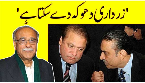 Will Asif Zardari Ditch PDM? Here's What Najam Sethi Thinks
