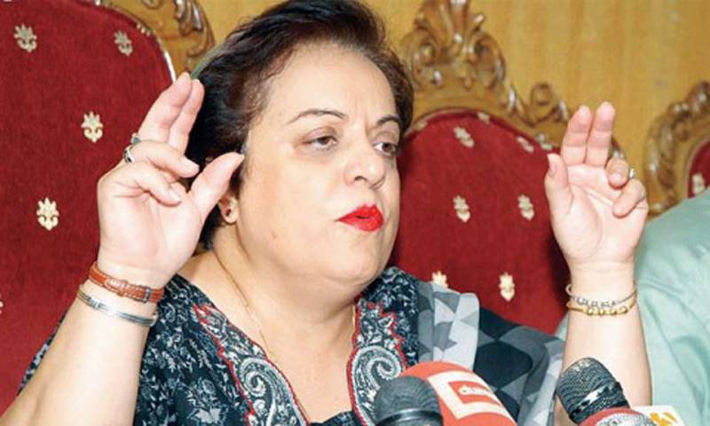 Minister Shireen Mazari Deletes Tweet Against French President After Strong Reaction From French Embassy