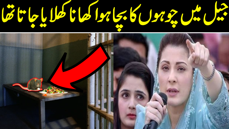 Was Fed Leftovers Of Rats In Jail, Claims Maryam Nawaz