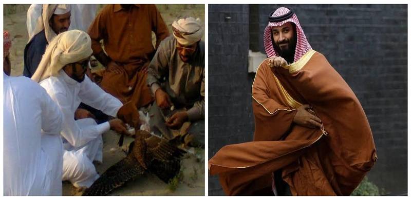 Pakistan Allows Saudi Crown Prince MBS, Other Royals To Hunt Houbara Bustard