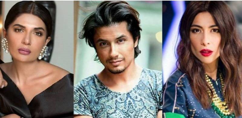 Meesha Harassment Case: 'Reporters Covering Proceedings Were Fed Lies By Ali Zafar's Legal Team'