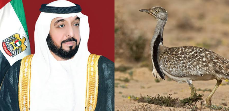 Pakistan Issues Special Houbara Hunting Permits To UAE Royals