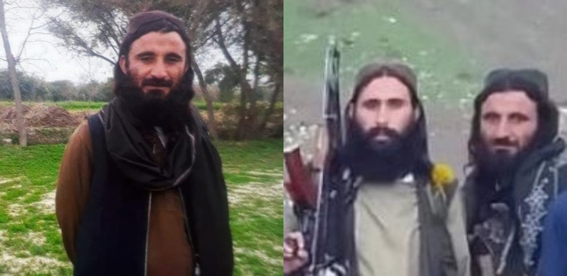 Pakistan Army Kills Taliban Commander Involved In Murder Of Women Activists