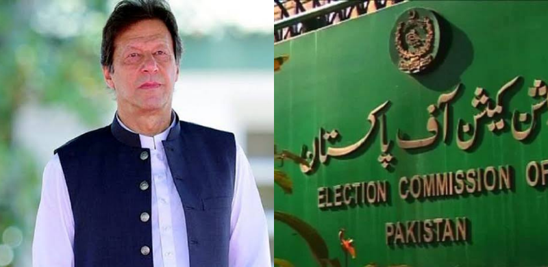 Take Briefings From Agencies To Know How Money Was Used In Senate Polls, PM Tells ECP