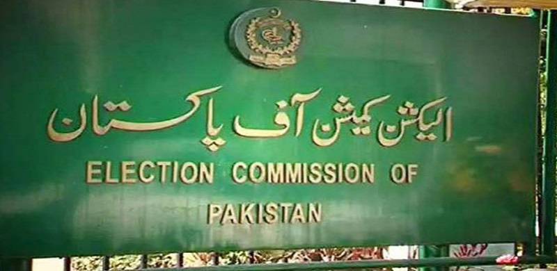 ECP Asks PTI To Include Its Own Lawmakers In Petition On Ali Haider Gillani Video