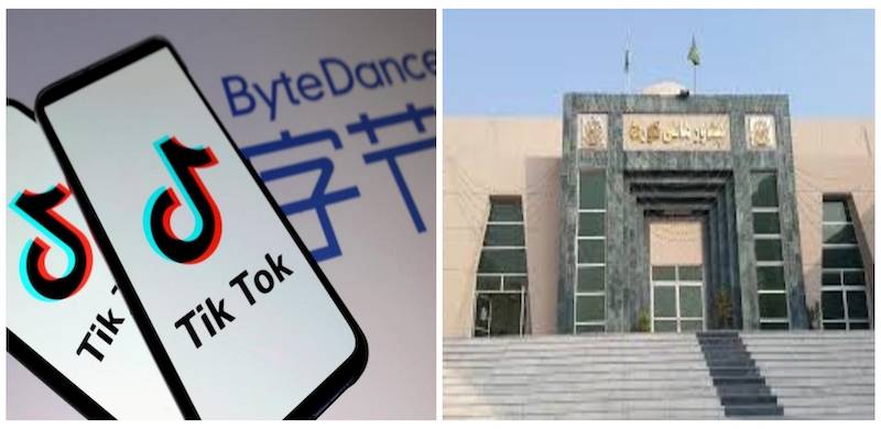 'Obscene Content': Peshawar High Court Orders Ban On TikTok