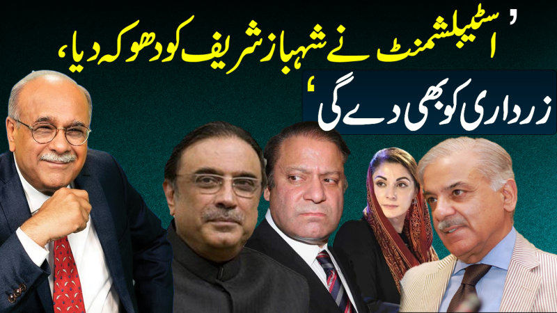 Miltablishment Betrayed Shehbaz, Will Betray Zardari: Najam Sethi